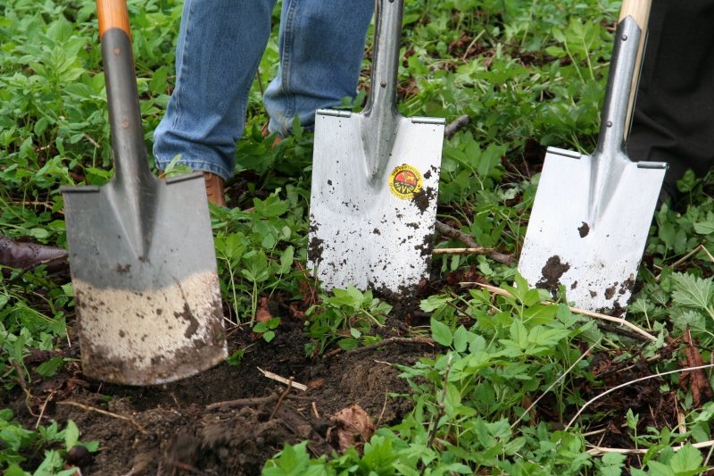 pepiniere-PEONE-min_work-lawn-flower-tool-green-backyard-1103633-pxhere.com